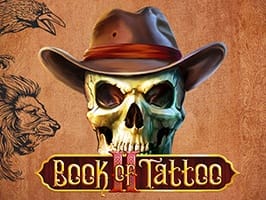 Book of tattoo 2 game cover